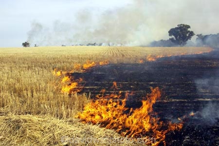 Stubble Burnoff, near Wangaratta, Victoria, Australia
