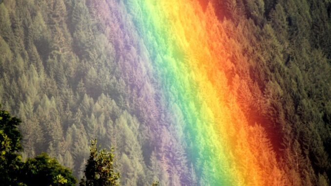 Rainbow