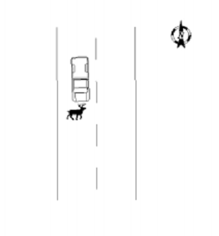 Truck vs. Deer