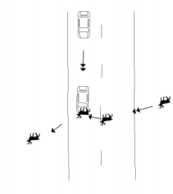 4-2-20 incident