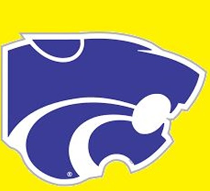 Wildcat Logo B