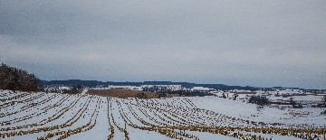 Winter fields