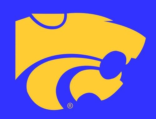 Humboldt Wildcats Logo