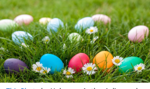 The Annual Kiwanis Easter Egg Hunt