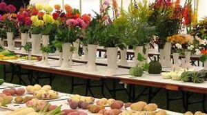 Humboldt County Horticulture Show