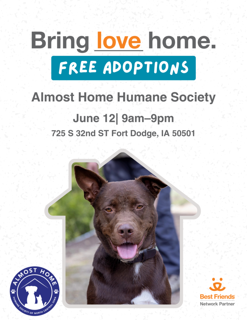 Almost Home Bring LOVE home Free Adoptions June 12th